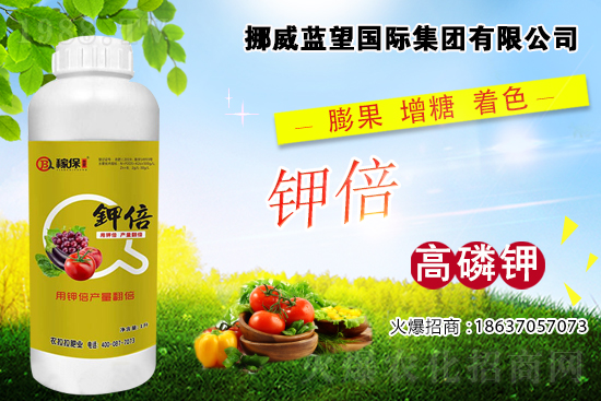 ���t����ɫ��쿴�ǲ����@Щԭ�������t����ɫ��ʩ