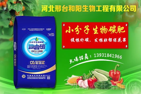 春節(jié)前小麥價格會不會漲？今日小麥價格行情！