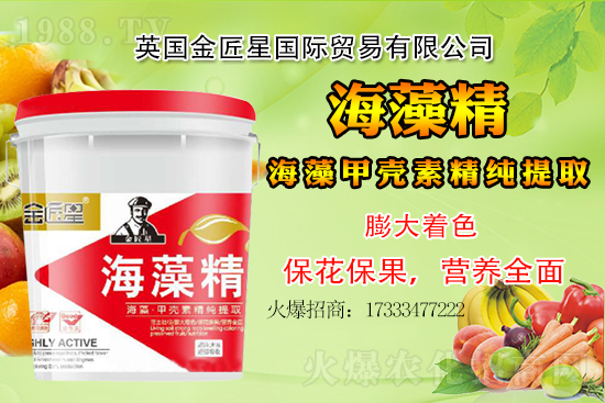 小麥價(jià)格還會(huì)出現(xiàn)大漲嗎？小麥行情總結(jié)！