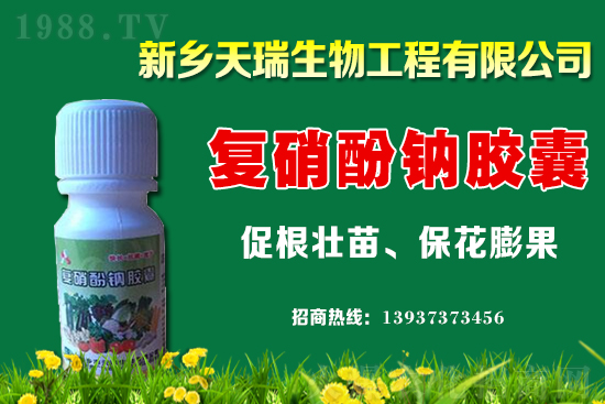 ���[һ�����ܮa(ch��n)���ٽ������[�r(ji��)�����ϝq��