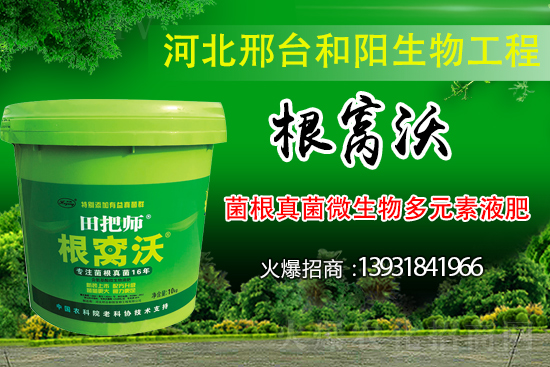 哪些病害屬于土傳病害？采取什么措施可以防治？