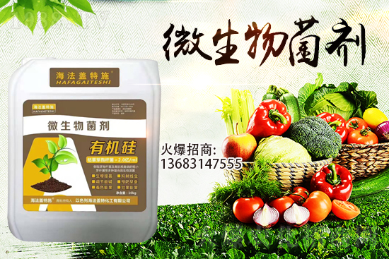 寒潮來(lái)襲！大棚持續(xù)低溫，作物生根要點(diǎn)！