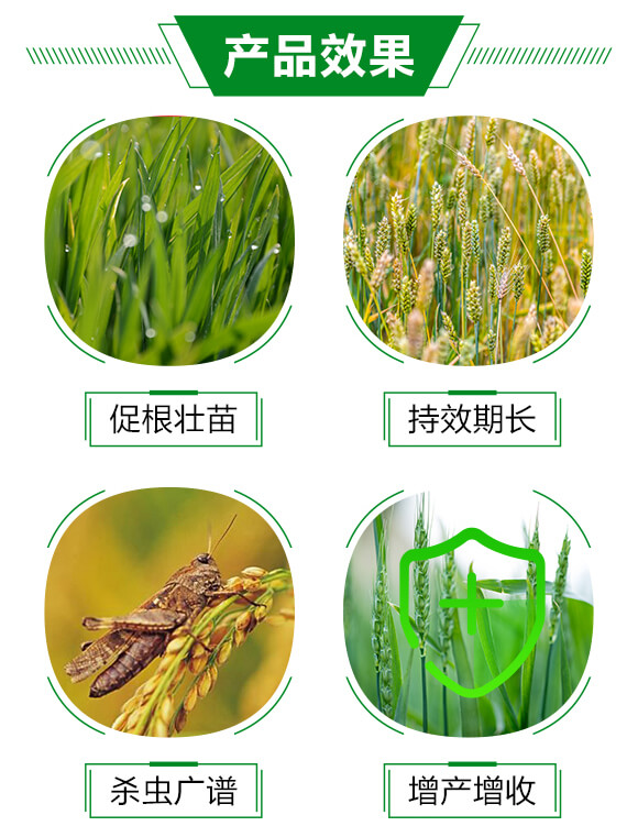 2%���x��-��֮��-�A�S����_03