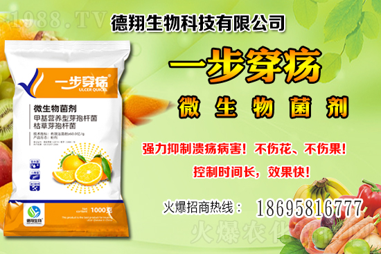 ��(gu��)�a(ch��n)�󶹃r(ji��)��(w��n)���е���2020-12-21�����������ֵ؅^(q��)��������