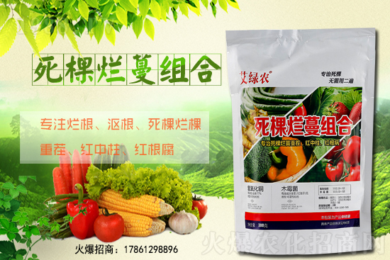 柑橘施肥在什么時間適宜？柑橘樹冬季該怎么管理？