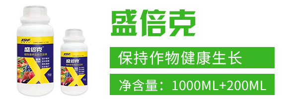 通用加強型植物營養(yǎng)生長促進液-盛倍克-新盛禾豐_02