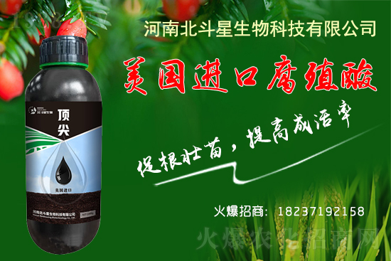 �ؗ͜l����������Nֲ��������������B(y��ng)�����o(h��)��