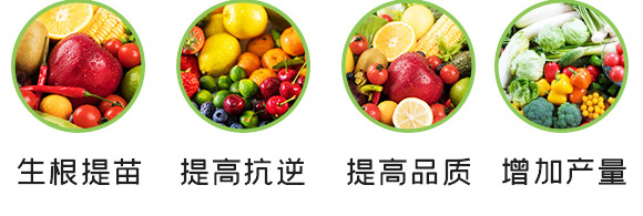 養(yǎng)根促根型有機(jī)水溶肥料-一畫農(nóng)業(yè)_06
