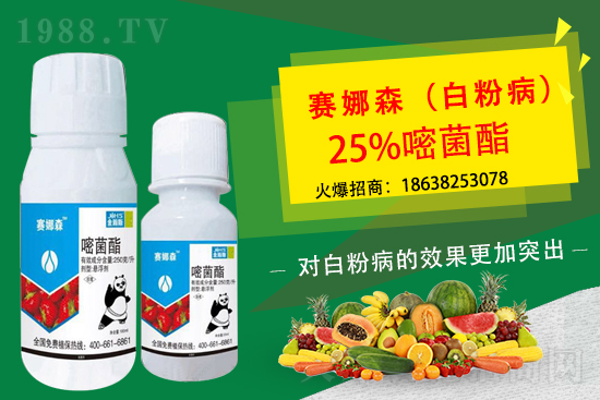 ��ݮ�׷۲���(l��i)�u���p�~��������ݮ�׷۲�Ҫ��η��أ�