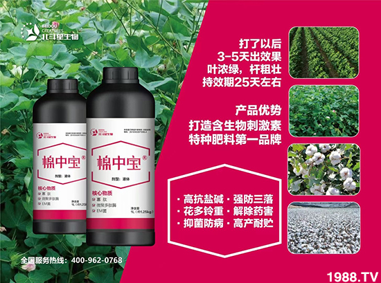 �طN�ʞ�ʲô�@ô������ʲô���c(di��n)֮̎��