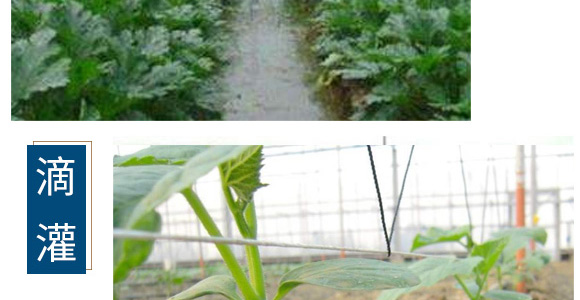 養(yǎng)根促根型有機(jī)水溶肥料-一畫農(nóng)業(yè)_08