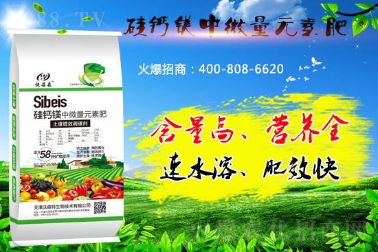 ���}�VԪ�ط����˽���٣���̎����Щ��