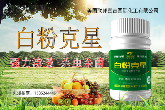 �����׷۲�����y�Է����������׷۲������ˎ����Ч������