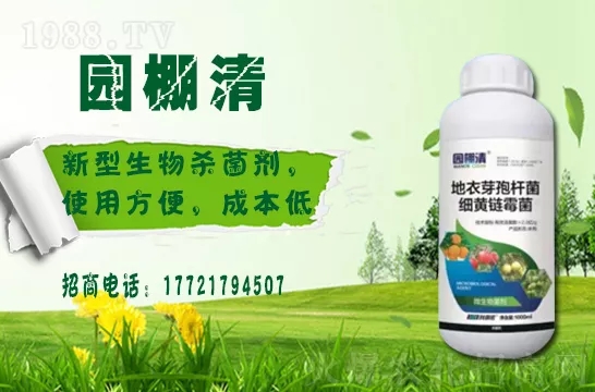 �������⛶�����Ч���Æ������������������ֲ�￹�������ģ�