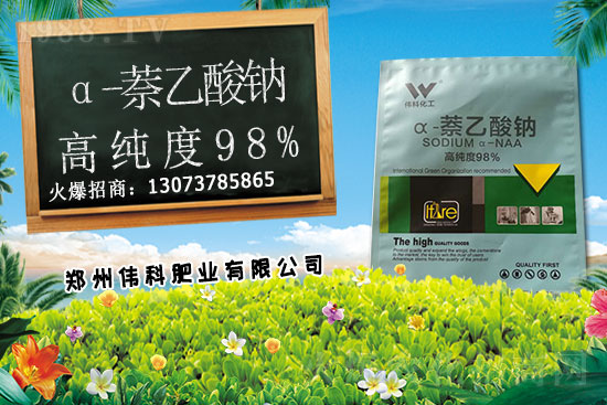 豆角種植時間是什么時候？豆角對環(huán)境條件有哪些要求？