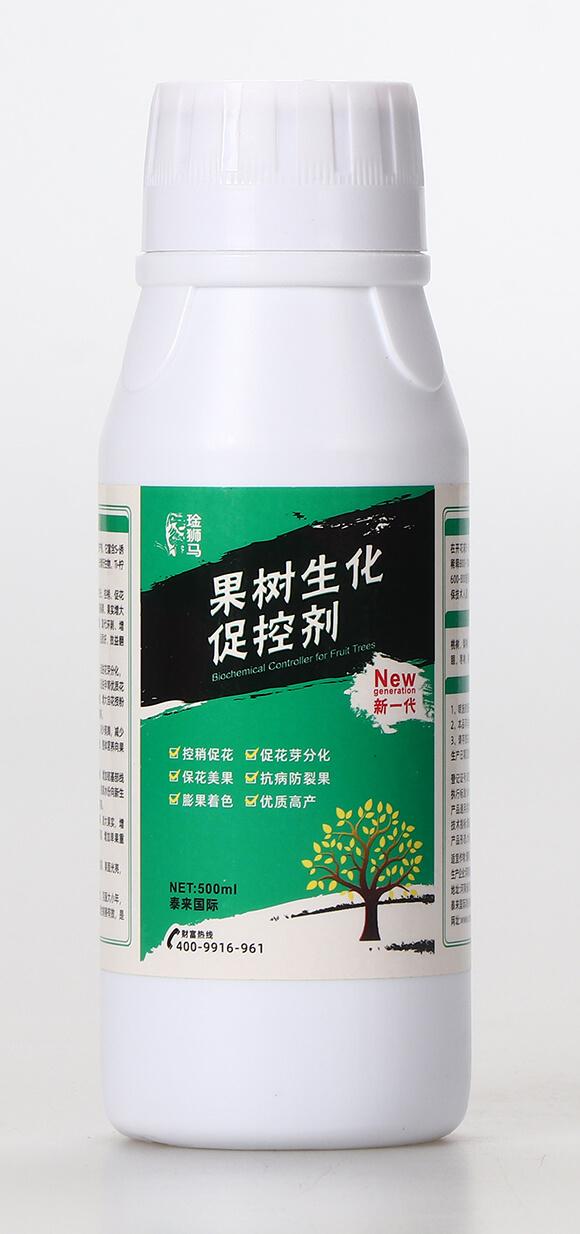 500ml���������ٿ؄�-�n�{�R-̩����H1