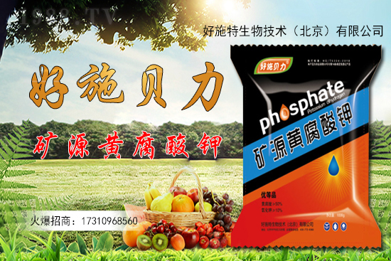 �󽪶����Xһ�����󽪷Nֲǰ������������Nֲ���g(sh��)��