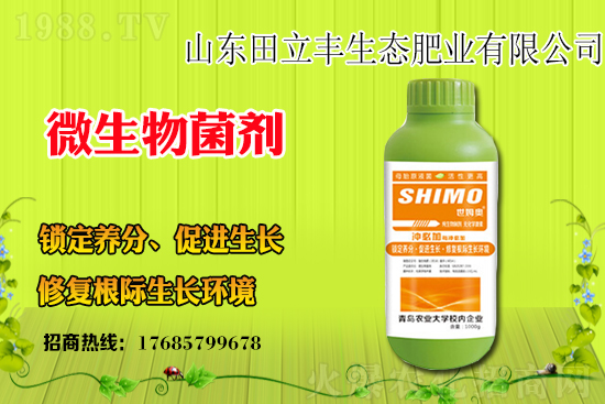 ���{��ԓ��ηNֲ�����{���Nֲǰ����Ч����ô����