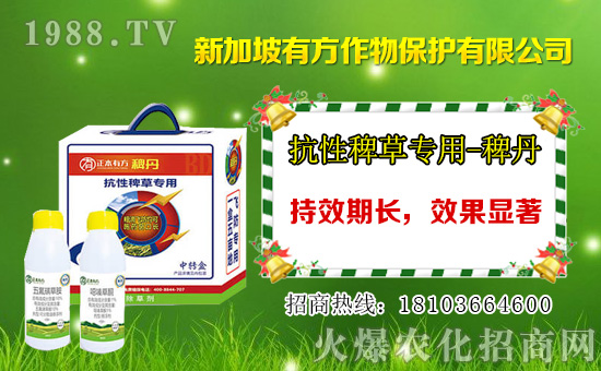 Ȳ�������݄��r���߄�2021.01.01