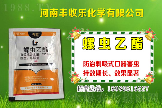 2021���޻��NֲƷ�Nԓ��ô�x���޻��x�NҪע����Щ��(w��n)�}��