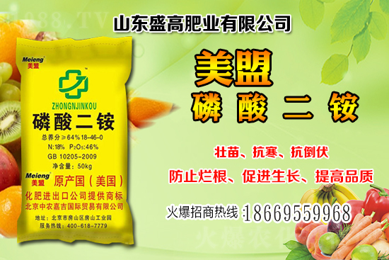 ����С���r��߀���^�m(x��)�ϝq����12��С���r���������