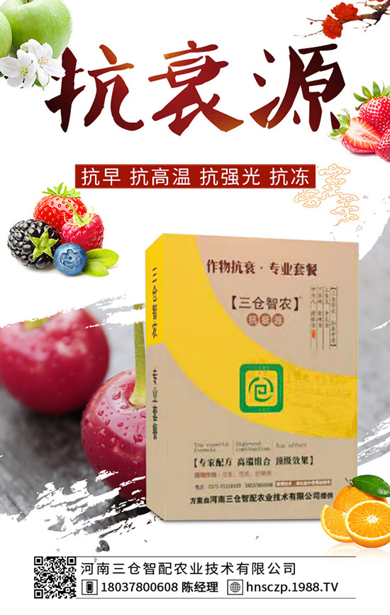 ���·��m�ϷNֲʲô�߲ˣ����·��߲˷Nֲע�������