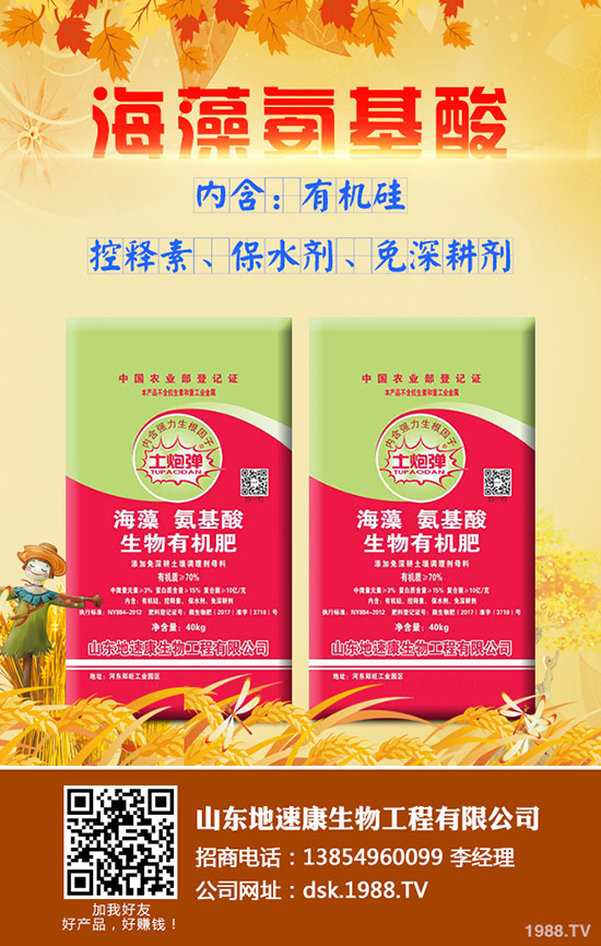     2020年那個牌子深松機值得入手？價格多少？性能怎樣？