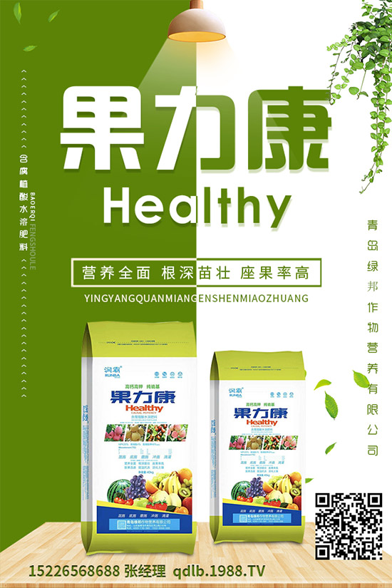 �����ĸ������g�Y���������ĸ����İl(f��)��Ҏ(gu��)�ɼ����Σ�