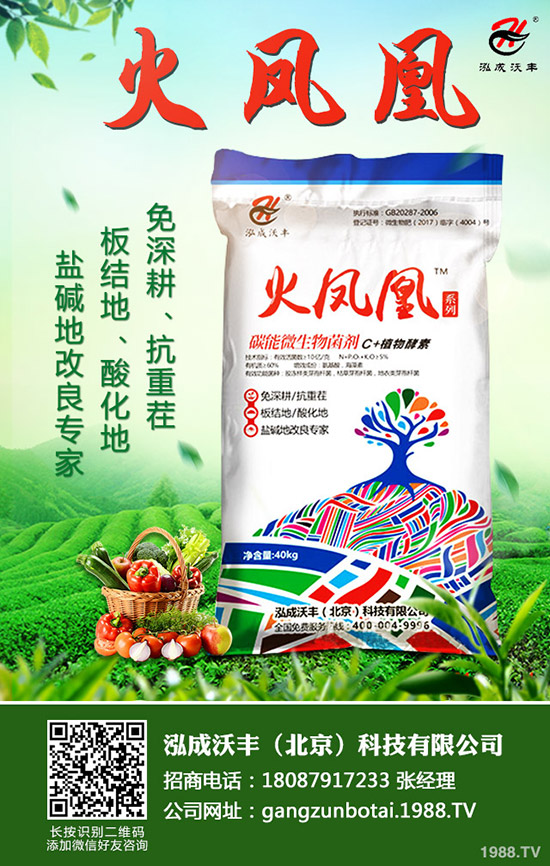 常見果樹蛀干害蟲有哪些，果樹蛀干害蟲如何消滅？