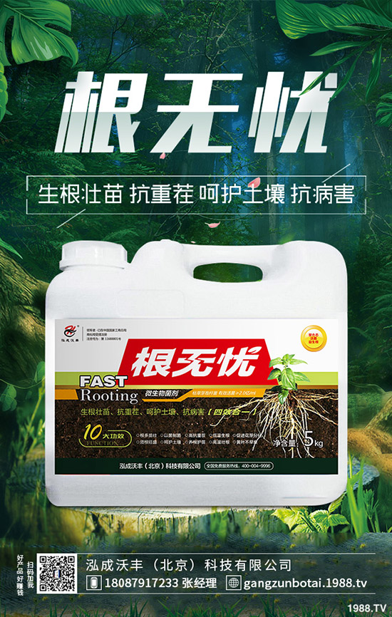 豆角鉆心蟲危害大、抗性大怎么辦？豆角鉆心蟲綜合防治！