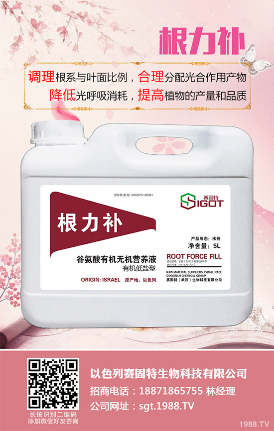 С��������Ҋ�Ĳ�������Щ��ԓ��η���������С���������η�����B