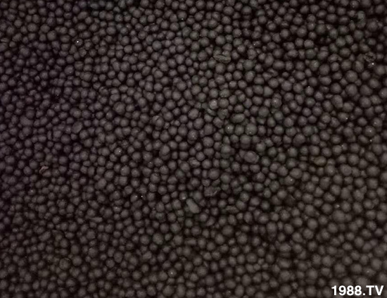 復(fù)合微生物菌劑-地康欣