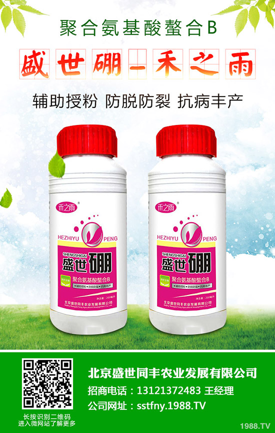 如何促進(jìn)西瓜種子發(fā)芽？西瓜種子發(fā)芽要注意哪些問題