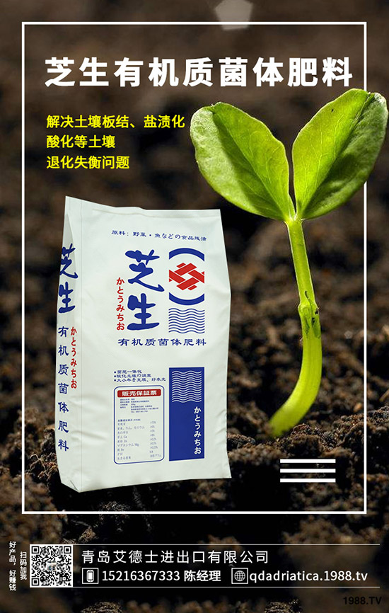 ��������ô��Ч�������������ص�ʹ�÷�����