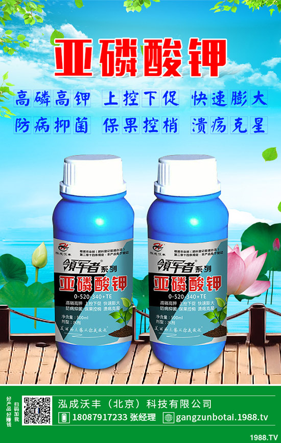 �ЙC�߲��c�o�����߲˵ą^(q��)�e���o�����߲���η��x��