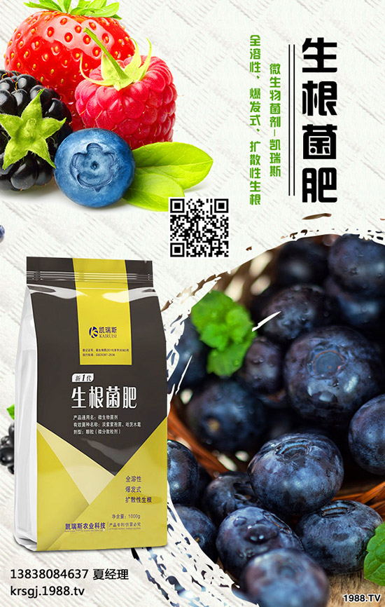 長(zhǎng)壽花盆栽施肥要注意哪些問(wèn)題，長(zhǎng)壽花盆栽施肥要點(diǎn)！