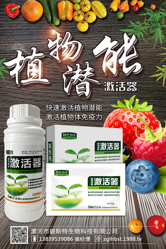 天麻怎么種成活率高？天麻什么時候種植更好？