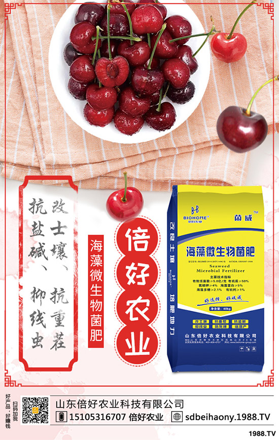     天天跌，這一次，尿素價(jià)格還能穩(wěn)住嗎？2020-3-26各地最新報(bào)價(jià)是多少？