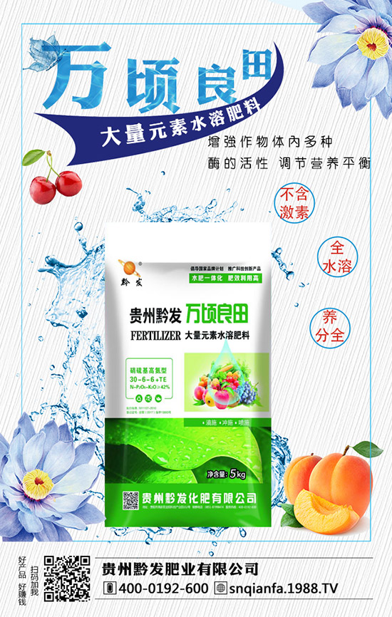 西蘭花育苗技術(shù)有哪些，西蘭花育苗的注意事項！