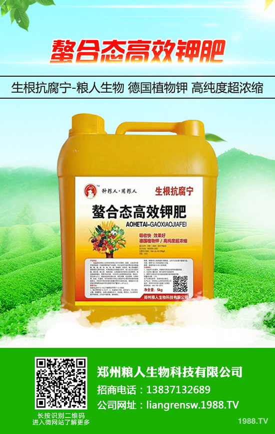 蔥得了灰霉病怎么辦？大蔥灰霉病的防治方法！