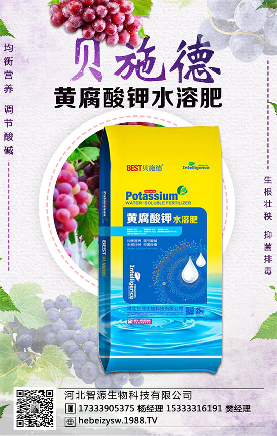 芹菜的營養(yǎng)價值有哪些？常吃芹菜有什么好處？