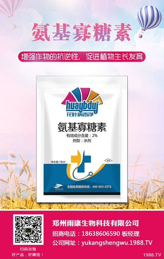 番茄發(fā)生肥害怎么辦？番茄肥害怎么快速恢復(fù)？