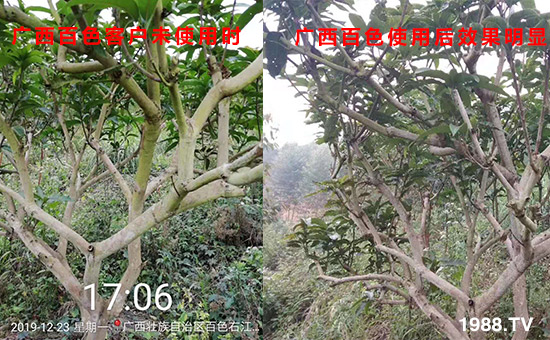 �V����ɫ�͑�δʹ�Õr��ʹ�ú�Ч�����@��