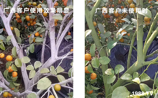 �V���͑�ʹ��Ч�����@��δʹ�Õr��