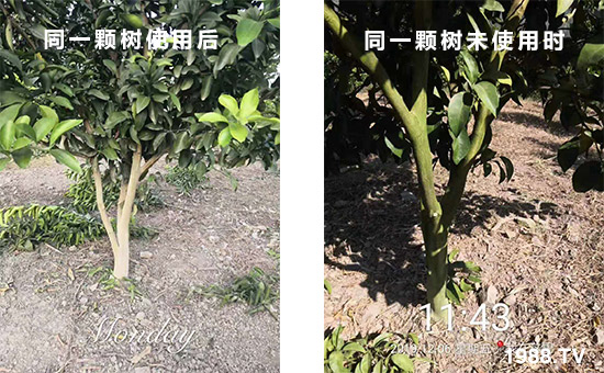 ͬһ�w��ʹ�ú��ͬһ�w��δʹ�Õr��