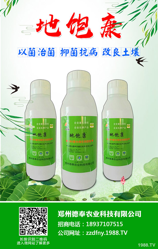 �ϹϺ��ǲ�����Щ�Y�����ϹϺ��ǲ����η���