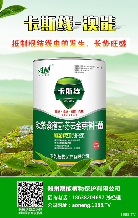 南瓜種植時間是什么時候？南瓜的種植技巧！