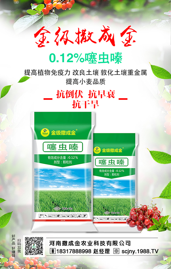 白菜畝產(chǎn)產(chǎn)量高，施肥方法有哪些？