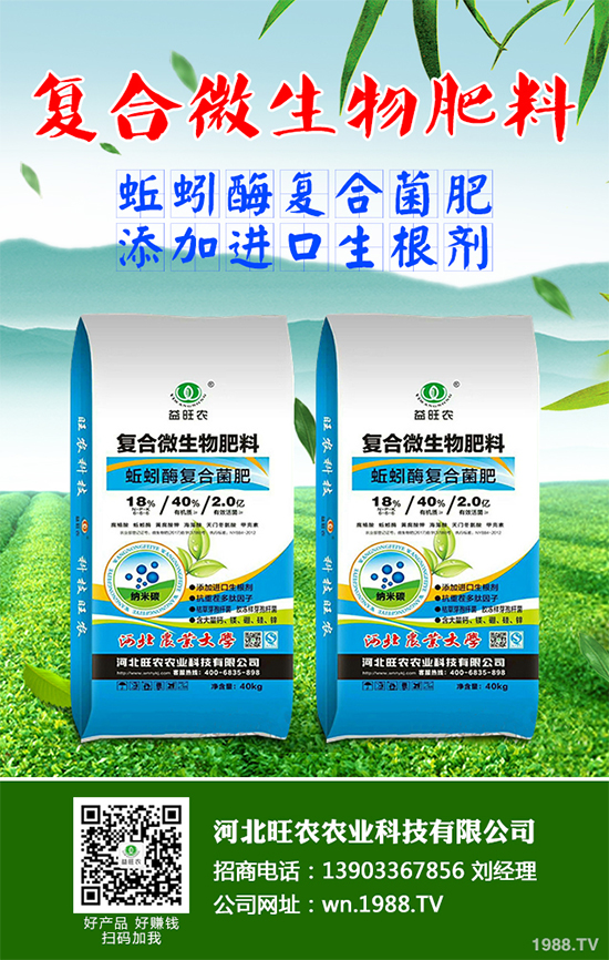 洋桔梗該如何種植？洋桔梗栽培種植技術(shù)