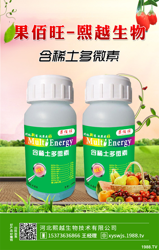 洋桔梗該如何種植？洋桔梗栽培種植技術(shù)